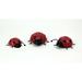 Gracie Oaks 3 Piece Ladybug Art Sculpture Set Metal in Black/Red | 2.25 H x 6.5 W x 4.75 D in | Wayfair 9846642312674F688CB8B43373C7CBA1