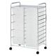 Taylor & Brown 15 Drawer Mobile Rolling Storage Trolley Unit Organiser On Wheels For Salon, Beauty Make Up, Hairdressing, Beauty & Home Office Stationary (White)