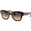 Ray-Ban RB2186 State Street Sunglasses Havana On Transparent Pink 49 RB2186-1324BG-49