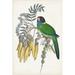 Bayou Breeze Tropical Bird & Flower II by Vision Studio - Wrapped Canvas Painting Canvas, Wood | 30 H x 20 W x 1.25 D in | Wayfair