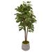 47" Fig Artificial Tree in Stoneware Vase with Gold Trimming - Green/Grey/Gold