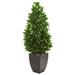 56" Bay Leaf Cone Topiary Artificial Tree UV Resistant in Black Planter (Indoor/Outdoor) - 24"W x 24"D x 56"H