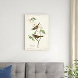 Red Barrel Studio® Pl.8 White-Throated Sparrow Canvas | 30 H x 20 W x 1.25 D in | Wayfair CF96085587AA4EBB9B18369A729C64E7