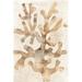 Rosecliff Heights Parchment Coral I by June Erica Vess - Wrapped Canvas Painting Canvas in Brown | 12 H x 8 W x 1.25 D in | Wayfair