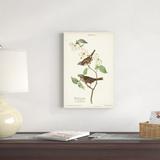 Red Barrel Studio® Pl.8 White-Throated Sparrow Canvas | 18 H x 12 W x 1.25 D in | Wayfair A5C92211FFA448949533DB221687F50D