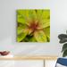 Latitude Run® Cropped Garden Leaves III by Laura DeNardo - Wrapped Canvas Photograph Canvas, Wood | 30 H x 30 W x 1.25 D in | Wayfair