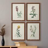 Red Barrel Studio® Traditional Botanical I - 4 Piece Picture Frame Print Set on Canvas Canvas, Solid Wood in White | 47 H x 31.5 W in | Wayfair