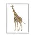 Stupell Industries Minimal Giraffe Portrait Patterned Safari Animal Super Oversized Stretched Canvas Wall Art By James Wiens Canvas | Wayfair