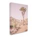 Stupell Industries Desert Tree & Agave Plant Sun Bleach Sky Gray Farmhouse Rustic Framed Giclee Texturized Art By Elizabeth Urquhart Canvas | Wayfair