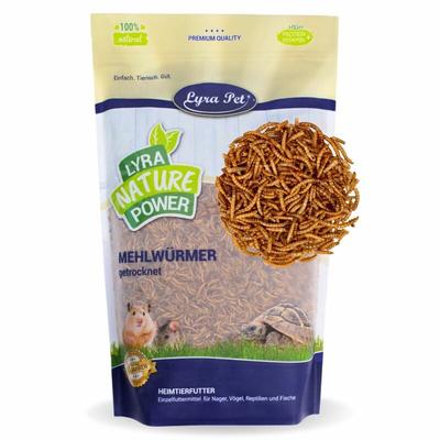 1 kg Lyra Pet Mehlwürmer für Nager