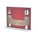 FixtureDisplays Polystyrene Sign Holder Picture Frame redPlastic | 11 H x 8.5 W x 1.5 D in | Wayfair 11193-3-11x8.5-24PK