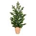 Vickerman 675649 - 24" x 14" Bryson Spruce Christmas Tree Christmas Tree (G211524)