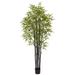 6' Black Bamboo Tree UV Resistant (Indoor/Outdoor) - 34"D x 34"W x 72"H