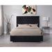 Everly Quinn Hungerford Tufted Low Profile Platform Bed Upholstered/Velvet in Black | 56 H x 70 W x 87 D in | Wayfair