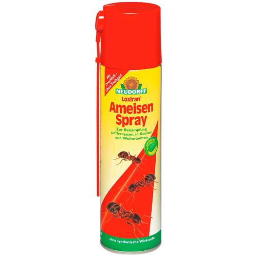 Neudorff Insektenspray Loxiran Ameisen Spray bunt Zubehör Pflanzen Garten Balkon