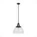 Hunter Cypress Grove 16" 1-Light Pendant - Island, Dining Room, Entry - Industrial, Contemporary, Transitional