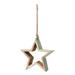 The Holiday Aisle® Star w/ Enameled Edge Holiday Shaped Ornament Wood in Green | 7.75 H x 4.75 W x 2.25 D in | Wayfair