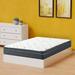 King Firm 12" Hybrid Mattress - The Twillery Co.® Griggs 12-Inch Medium EuroTop Breathable Mattress, Compatible w/ Adjustable Bed | 80 H x 76 W 12 D in Wayfair