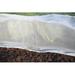 Tierra Garden Haxnicks Pre-Cut Micromesh Blanket 12' or 16' Coconut fiber in Green | 0.25 H x 144 W x 144 D in | Wayfair 50-3510