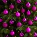 The Holiday Aisle® 30 Piece Reusable Container Ball Ornament Set Plastic in Pink | 2.5 H x 2.5 W x 2.5 D in | Wayfair
