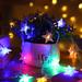 The Holiday Aisle® 3-in-1 Holiday Decoration LED String Lights, USB & Battery Powered, for Party, Wedding, Christmas | Wayfair