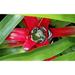 Latitude Run® Flowering – Photography Of A Beautiful Scenery, Ideal For Decorations, Wall Art, Posters, & Interior Design in Green/Red | Wayfair