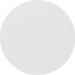 Berker Wippe pows/gl 16202089 Image