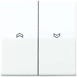 Jung Wippe Symbole aws AS 591-5 P WW AS591-5PWW Image