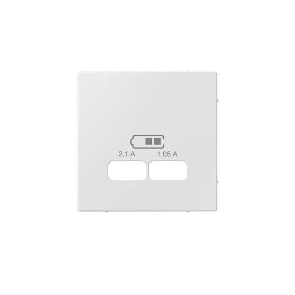 Merten Zentralplatte MEG4367-0325 Image