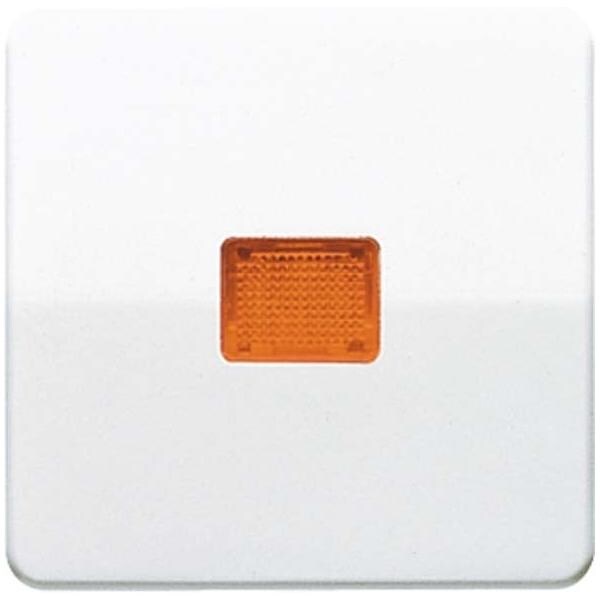 Jung Wippe Lichtfenster ws CD 590 KO CD590KO Image