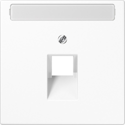 Jung Abdeckung Schriftfeld aws LS 969-1 NAUA WW LS969-1NAUAWW Image