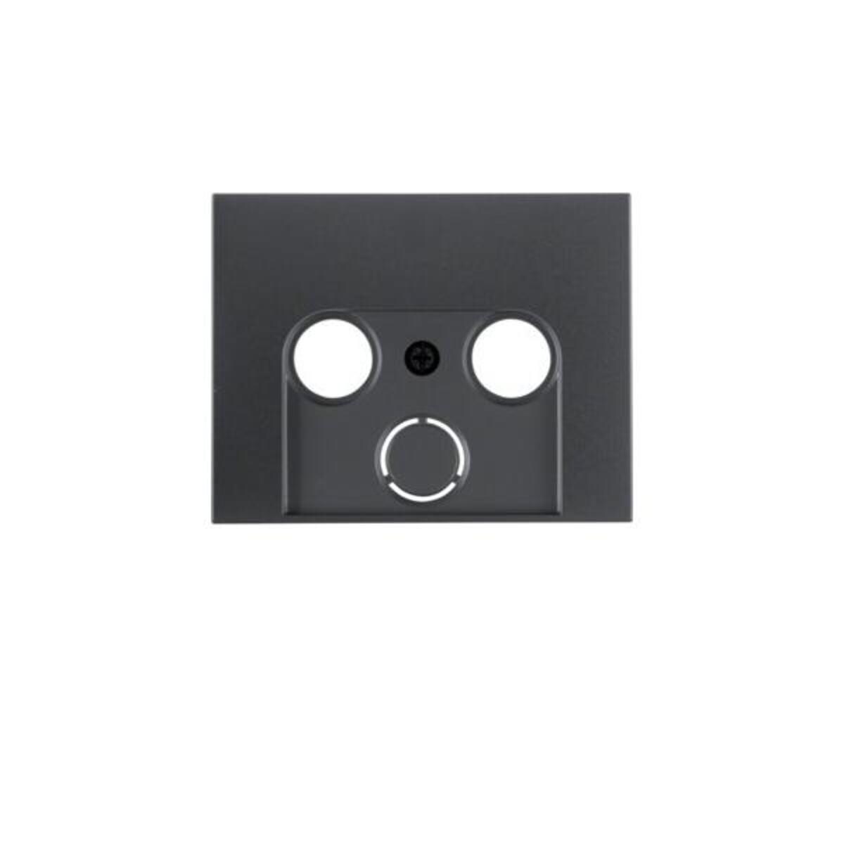 Berker Zentralstück ant/matt 12017016 Image