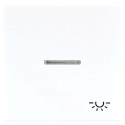 Jung Wippe Sym.LICHT/Lichtl.aw LS 990 KO5L WW LS990KO5LWW Image