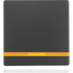 Berker Wippe anth/sa 16216086 Image