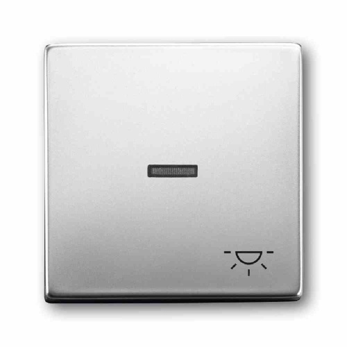 Busch-Jaeger PUR EDELSTAHL Kontrollwippe, Schalter/Taster, edelstahl, matt, Symbol Licht Image