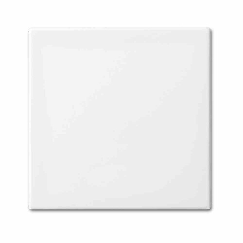 Busch-Jaeger BUSCH-BALANCE SI Wippe einteilig, Schalter/Taster, alpinweiß, glänzend, ohne ISO Aufdruck Image