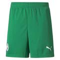 PUMA Kids Manchester City Home Goalkeeper Shorts 2021 2022 Green 7-8 (S)