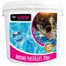 Llofer - 5KG brome pastilles 20GR