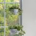 Corrigan Studio® Aroara Hanging Planters Set Resin/Plastic/Stone in Gray | 37.4 H x 10 W x 10 D in | Wayfair 41F664065AD348379C429A36574A5687