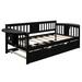 Red Barrel Studio® Twin Wooden Daybed w/ Trundle Bed, Sofa Bed For Bedroom Living Room, White Wood in Brown, Size 34.1 H x 41.0 W x 79.5 D in
