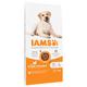 2x12kg Chicken Large Dog Adult for Vitality IAMS Dry Dog Food