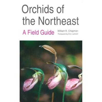 Orchids Of The Northeast: A Field Guide