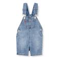 Levi's Kids Baby Boys Baby and Toddler Baby Set DENIM SHORTALLS C656 Milestone 3 Months