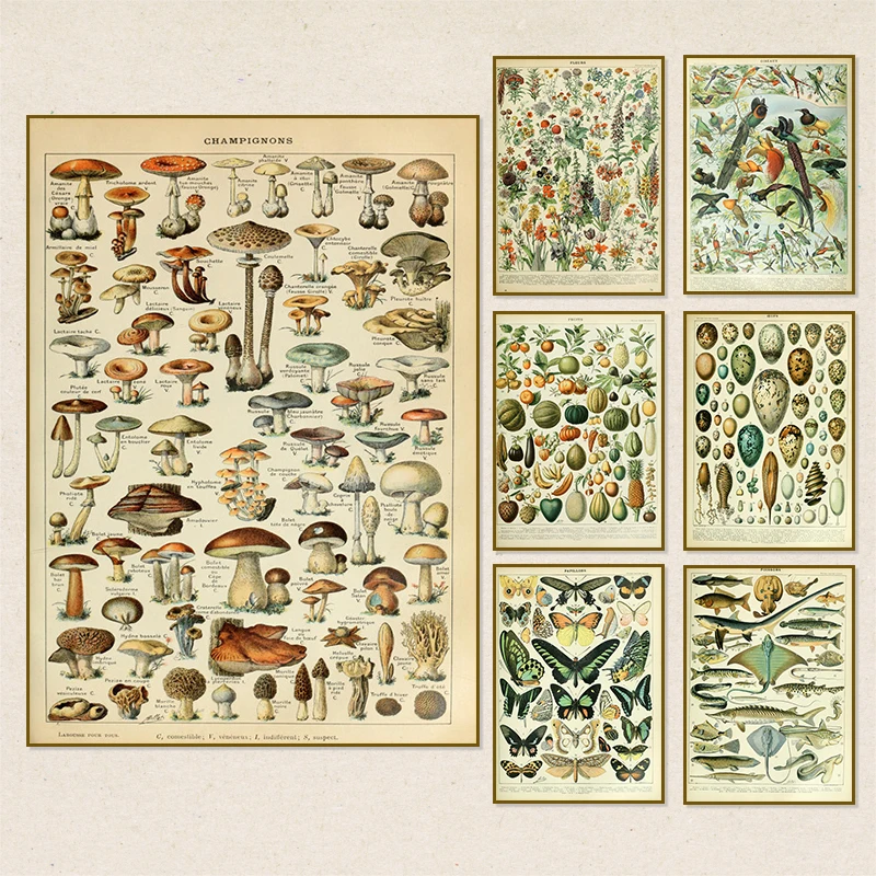 decoration chambre decoration salon decoration tableau decoration maison Affiche rétro botanique Vintage palaeobos, toile d