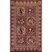 Animal Pictorial Nepalese Vegetable Dye Area Rug Handmade Wool Carpet - 5'7" x 8'11"