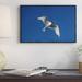 East Urban Home Swallow-Tailed Gull Flying - Wrapped Canvas Photograph Print Canvas, Wood in Blue/Gray | 22 H x 1.5 D in | Wayfair