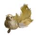 Northlight Seasonal Glittered Bird Christmas Ornament Plastic in Gray/Yellow | 2 H x 1.5 W x 5 D in | Wayfair NORTHLIGHT SH89694