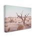Stupell Industries Southwestern Desert Tree Landscape Soft Muted Brush by Ziwei Li - Photograph on Canvas Canvas, in Brown | Wayfair
