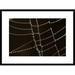 Global Gallery Spider Web w/ Beads of Dew, France by Cyril Ruoso Framed Photographic Print on Canvas Paper | 1.5 D in | Wayfair