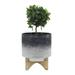 Dakota Fields Christena Ceramic Pot Planter Ceramic | 12 H x 10 W x 10 D in | Wayfair 1978CBFB9E9C448F8BCC38F63A95198D